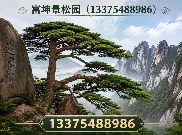 泰安富坤景松园展示图